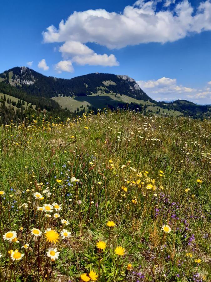 Fewo Niederndorferberg Exteriér fotografie