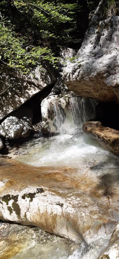 Fewo Niederndorferberg Exteriér fotografie