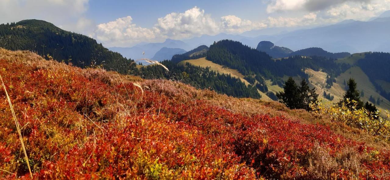 Fewo Niederndorferberg Exteriér fotografie